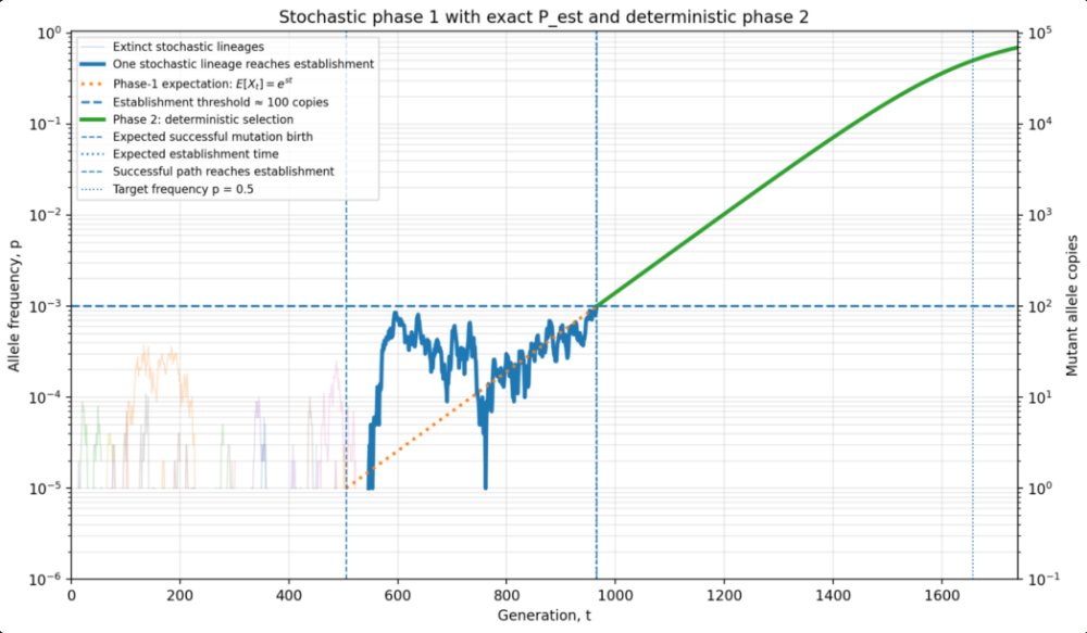 One beneficial allele’s frequency over generations: a noisy stochastic phase up to the establishment threshold, then deterministic growth to fixation.