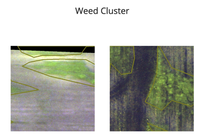 Weed clusters outlined on two aerial crop images.